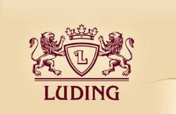 Luding LLC